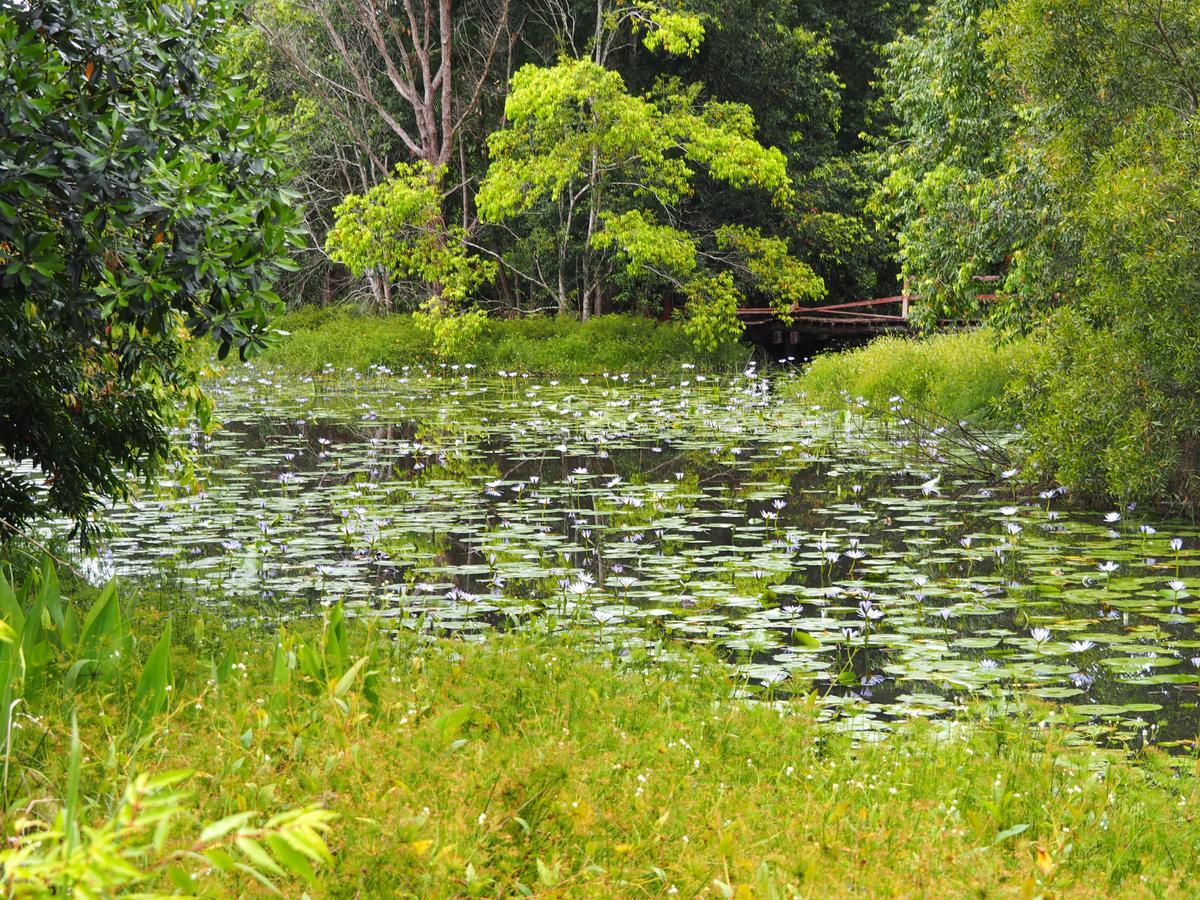 Lilypad Luxury Cabins Белинген Екстериор снимка